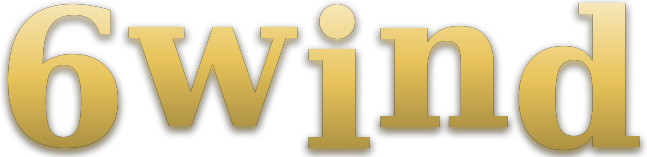 6wind logo